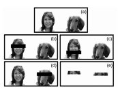 Почему домашние животные и их хозяева похожи?