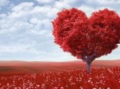 Ученые выяснили, что любовь может менять мозг