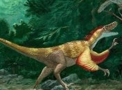 В Китае нашли окаменевшие следы, которые указывают на социальность велоцирапторов