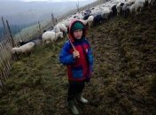 Украинская лента "Жива ватра" победила на фестивале в Канаде