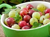 Названы полезные для здоровья свойства крыжовника