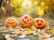 Конец осени отмечается в пятницу, 31 октября