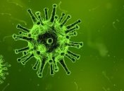 Откуда взялись современные вирусы: ученые провели необычное исследование