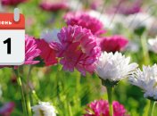 Яке свято 31 липня: народні прикмети і заборони