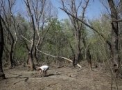 Безпілотник впав у зеленій зоні