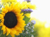 1 августа. Приметы дня