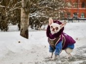 Теплые куртки еще пригодятся