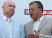 Гриценко: В оппозиции имитируют борьбу за освобождение Тимошенко