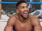 Джошуа о Руисе: У него есть 6 месяцев насладиться чемпионством