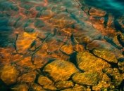 Відомий термін виживання коронавірусу у річковій воді 