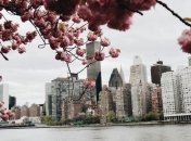 У розважальних столицях світу закривають ресторани та кінотеатри