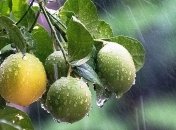 Жара vs грозы: прогноз погоды на День флага