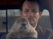 "День сурка" с Биллом Мюрреем: по мотивам комедии могут снять сериал