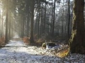 В Украину идет зима