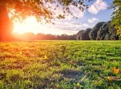 Прогноз погоды в Украине на 19 августа: будет тепло и солнечно