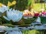 Какие завтра праздники: традиции и приметы на 18 июня