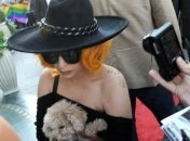 Какая же она - Леди Гага без макияжа