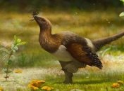 Открыт новый вид неизвестных ранее динозавров