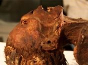 Раскрыта тайна "кричащей" мумии (Фото)