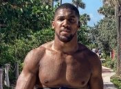 Промоутер: После нокдаунов Джошуа не понимал, где вообще находится