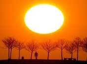 Глобальное потепление уменьшит размеры человека