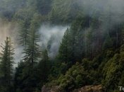 Спасатели отыскали украинских туристов в карельских лесах