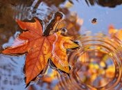 Дожди и прохлада: синоптики поделились прогнозом погоды на выходные