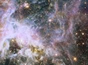 "Хаббл" сделал снимок "звездной колыбели" в туманности Тарантул (Фото)