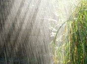 Спеку змінюватимуть грозові дощі та шквали вітру: прогноз погоди на 11 серпня