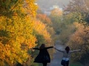 Прогноз погоды в Украине на 1 ноября: сохранится теплая погода