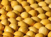 Действие эфирного масла лимона в косметологии 