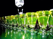 Абсент: «зеленая фея» богемы