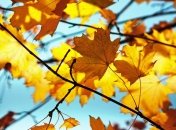 Праздник 30 сентября: главные приметы и что категорически запрещено делать