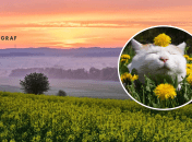 Последний месяц весны должен быть теплее