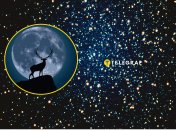 Цього року максимальна фаза липневої повні в Україні настане в темний час доби