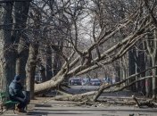 Из-за сильного ветра сотни населенных пунктов остались без света 