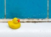 Как удалить плесень в плиточных швах - лайфхак