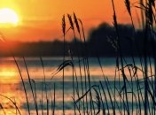 Сегодня отмечают Ильин день: приметы, история и традиции праздника 