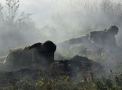 Стремительная эскалация на Донбассе: погиб украинский военный