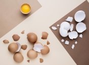 Яичная скорлупа как удобрение