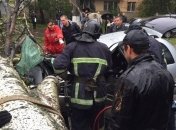 Из-за непогоды в Одессе на авто упало дерево, водитель погиб