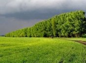 В Харькове требуют вернуть 3 га земли, выделенные по "кооперативной схеме"