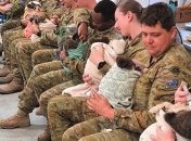 Лучший антистресс: австралийские пожарные в свободное время кормят коал (Фото)