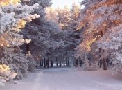 Ученые назвали одну из причин холодных зим