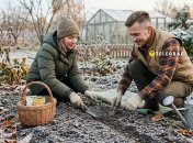 Даже после первых заморозков на огороде можно что-то посадить