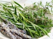 Для красоты и здоровья: 13 комнатных растений и их полезные свойства