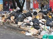 Лишь один город в Украине согласился принимать львовский мусор