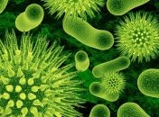 Биотопливо нового поколения