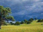 Прогноз погоды в Украине на 14 июня: переменная облачность, местами дождь