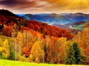 Погода в Украине 12 октября: сохранится дождливая погода